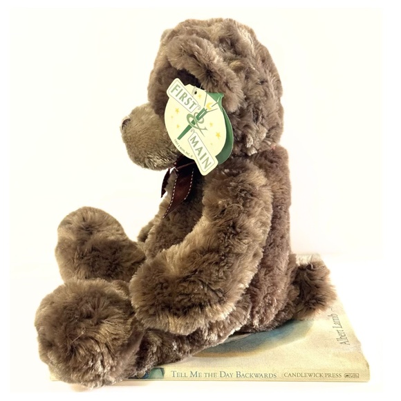 TELL ME THE DAY BACKWARDS - Albert Lamb / 2011 Hardcover Book & Plush Bear Toy - Picture 8 of 10